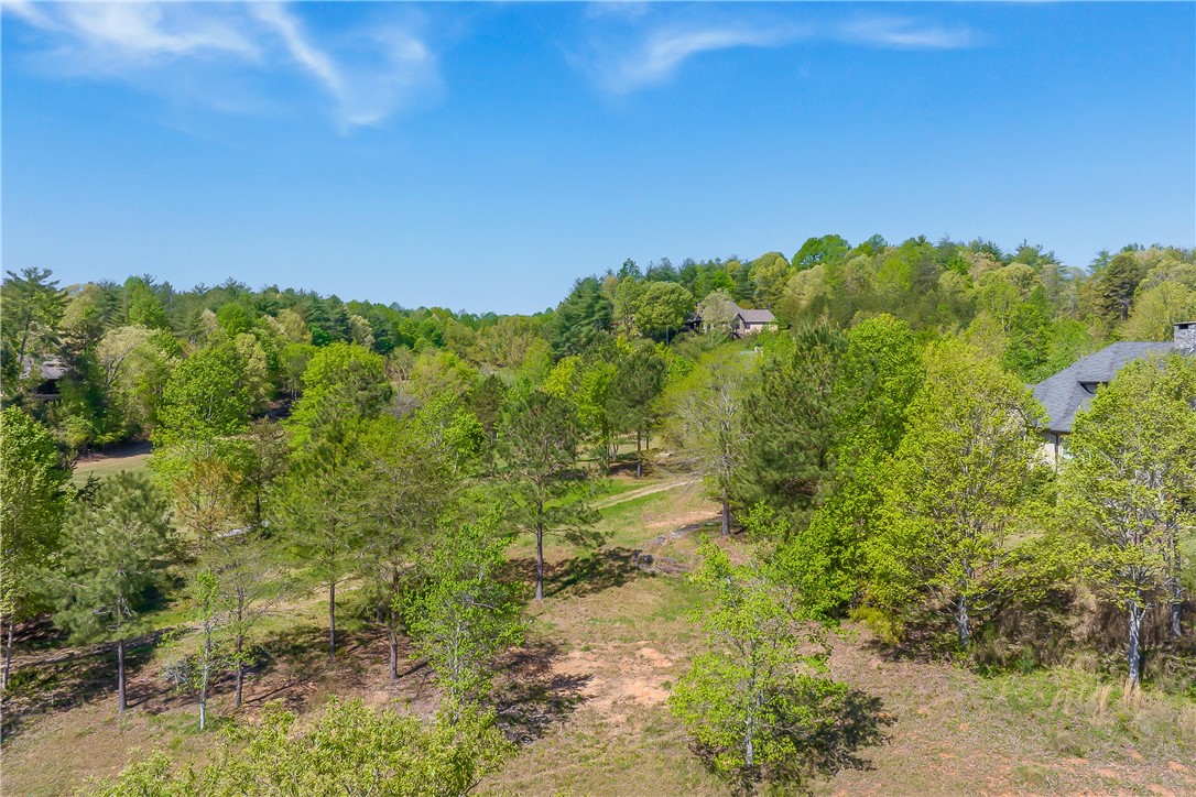 249 Long Cove Court Sunset, SC 29685 - Photo 13 of 21