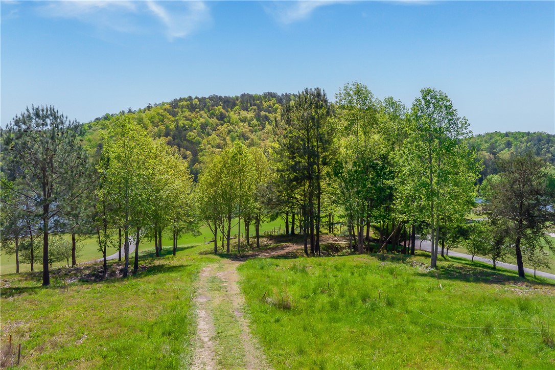 249 Long Cove Court Sunset, SC 29685 - Photo 14 of 21