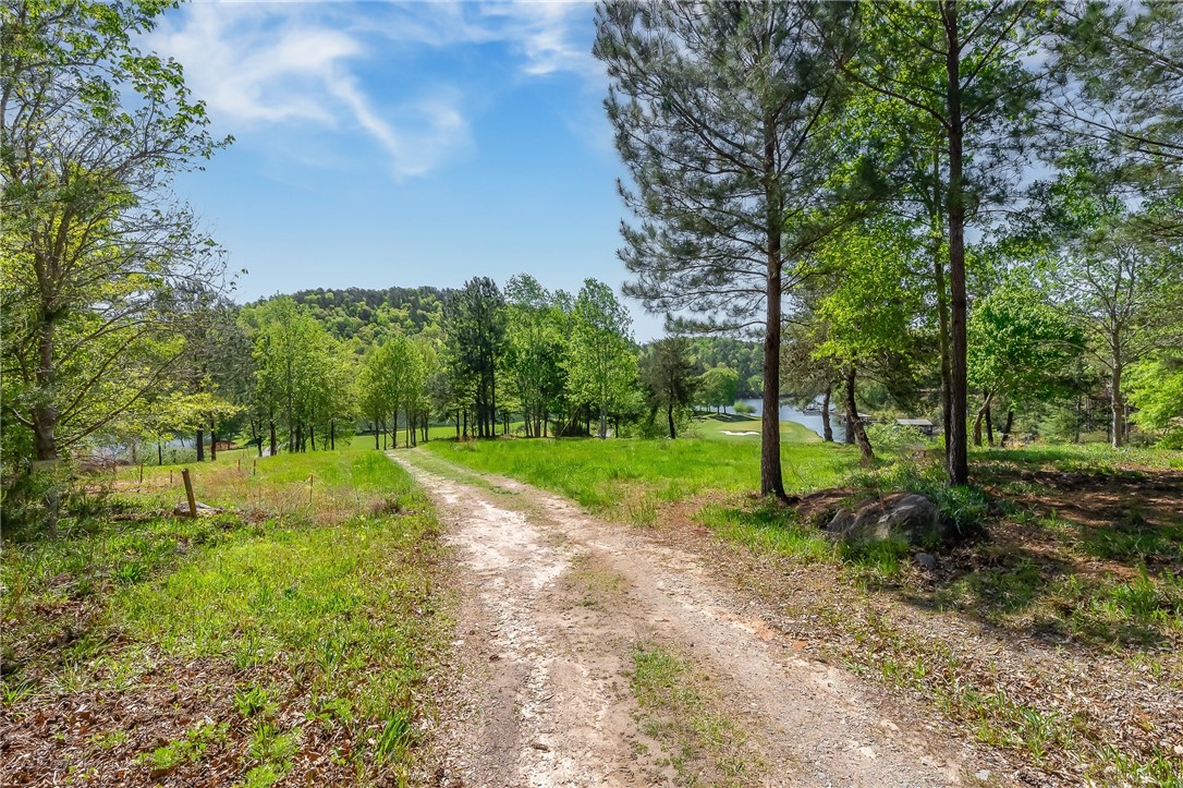 249 Long Cove Court Sunset, SC 29685 - Photo 15 of 21