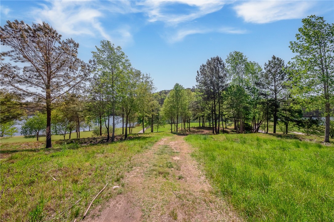 249 Long Cove Court Sunset, SC 29685 - Photo 16 of 21