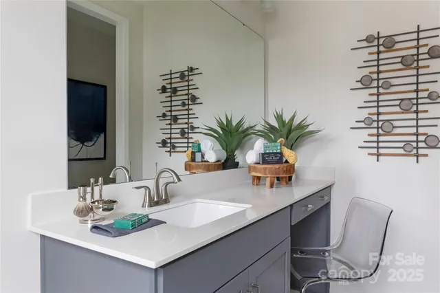 a kitchen with a sink and a potted plant
