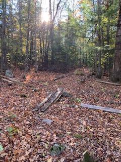 381 Long Falls Dam Road New Portland, ME 04961 - Photo 11 of 12 IMG_7488