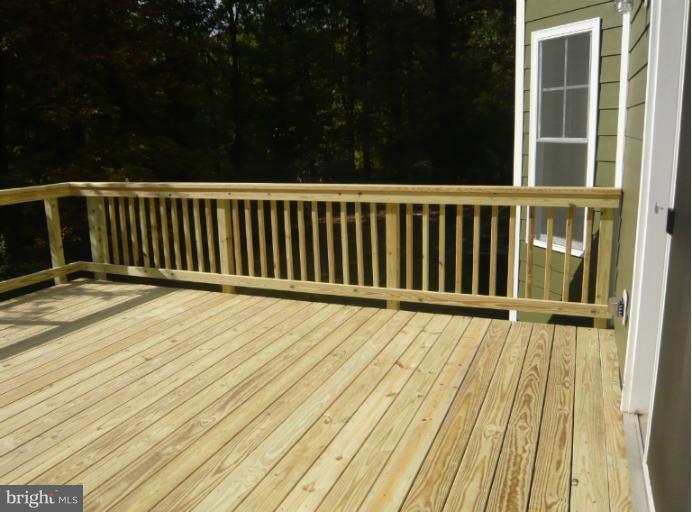 1139 Cameron Road Alexandria, VA 22308 - Photo 14 of 25 Exterior (Rear)