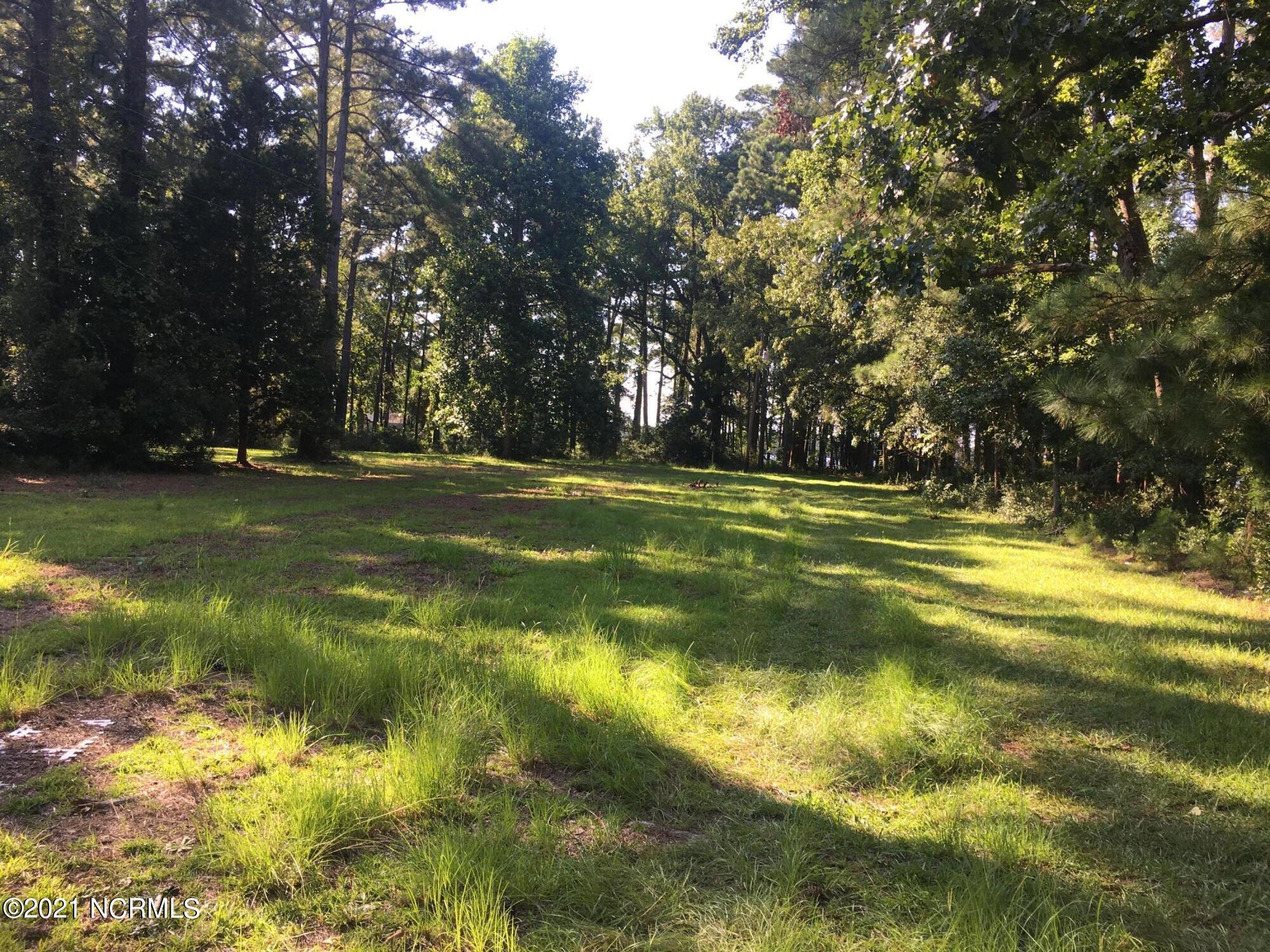 1569 Bell Point Road Merritt, NC 28556 - Photo 1 of 5 IMG_3044