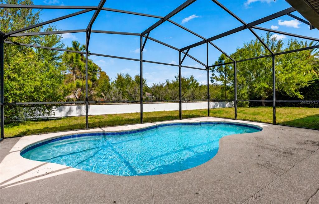 8531 Geddes Loop Orlando, FL 32836 - Photo 20 of 20 a view of a swimming pool with a yard