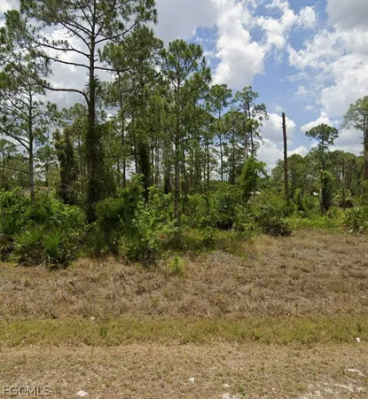 a view of a yard with plants and trees