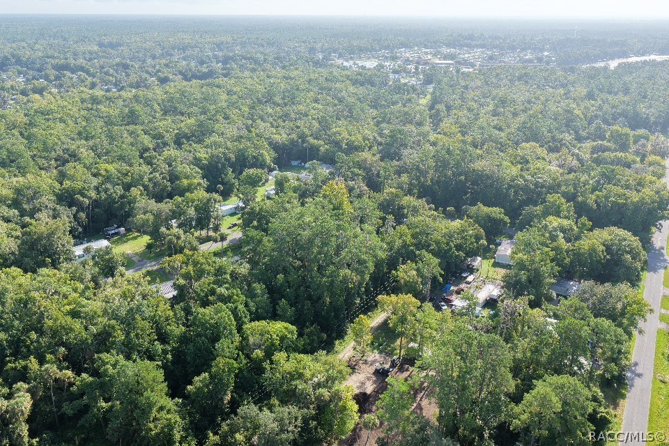 0 Gobbler Road Astor, FL 32102 - Photo 28 of 34 Gallery Image 28