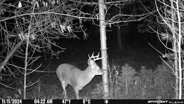 $399,900 | Morgan Drive, Waupaca, WI 54981