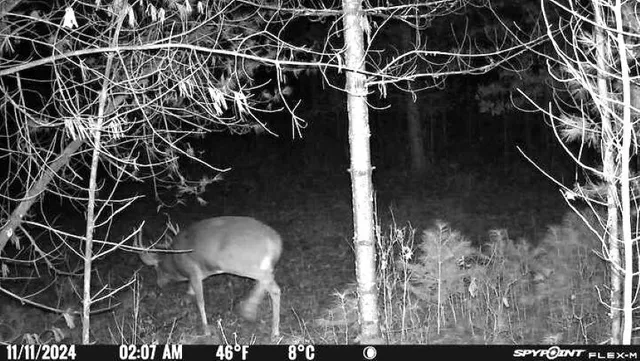 $399,900 | Morgan Drive, Waupaca, WI 54981