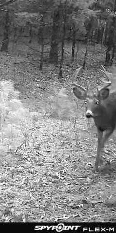 $399,900 | Morgan Drive, Waupaca, WI 54981