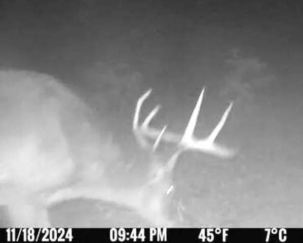 $399,900 | Morgan Drive, Waupaca, WI 54981