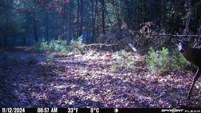 $399,900 | Morgan Drive, Waupaca, WI 54981