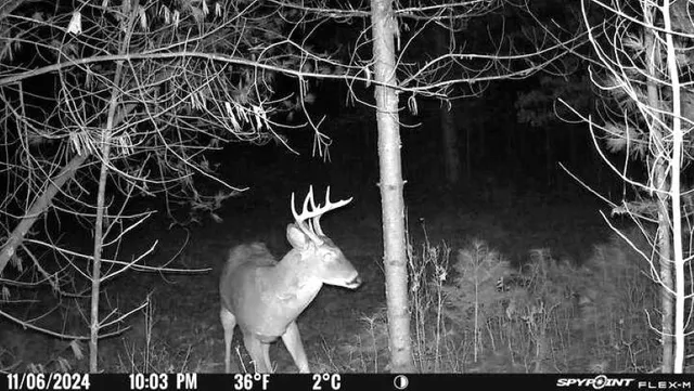 $399,900 | Morgan Drive, Waupaca, WI 54981