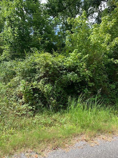 710-732 Layman Circle, Unit 21 & 22 Decatur, TN 37322 - Photo 1 of 3 layman lot