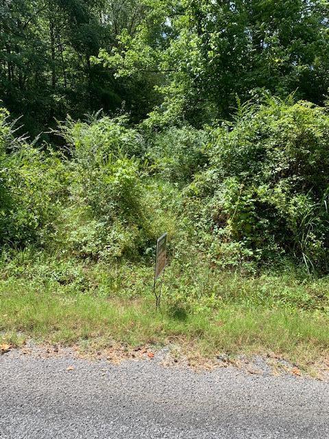 710-732 Layman Circle, Unit 21 & 22 Decatur, TN 37322 - Photo 2 of 3 layman lot 2