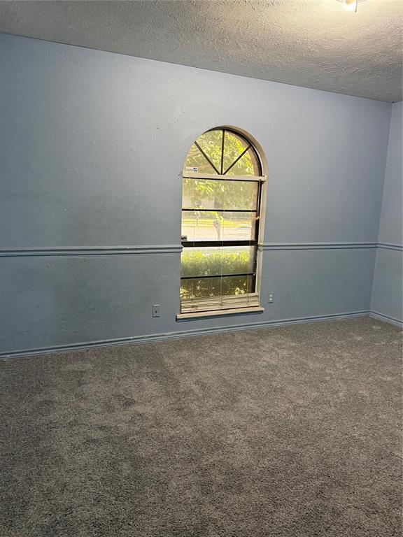 3801 Guthrie Road Garland, TX 75043 - Photo 14 of 24 Arched window with exterior tree scenery, textured ceiling, and wall trim detailing