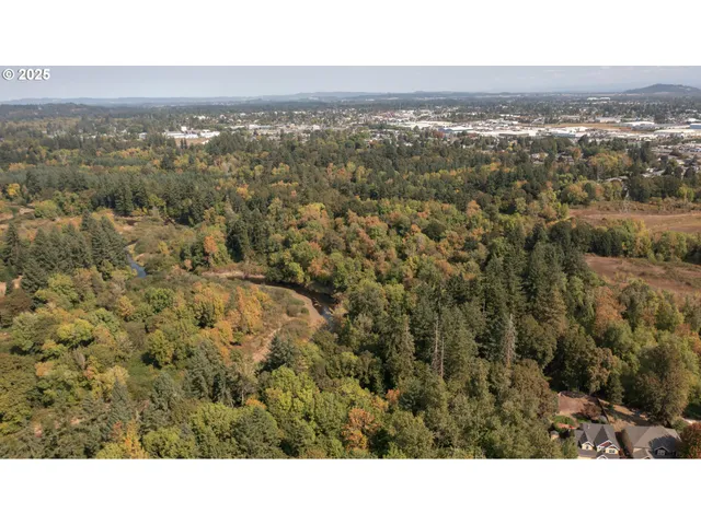 a view of city and mountain