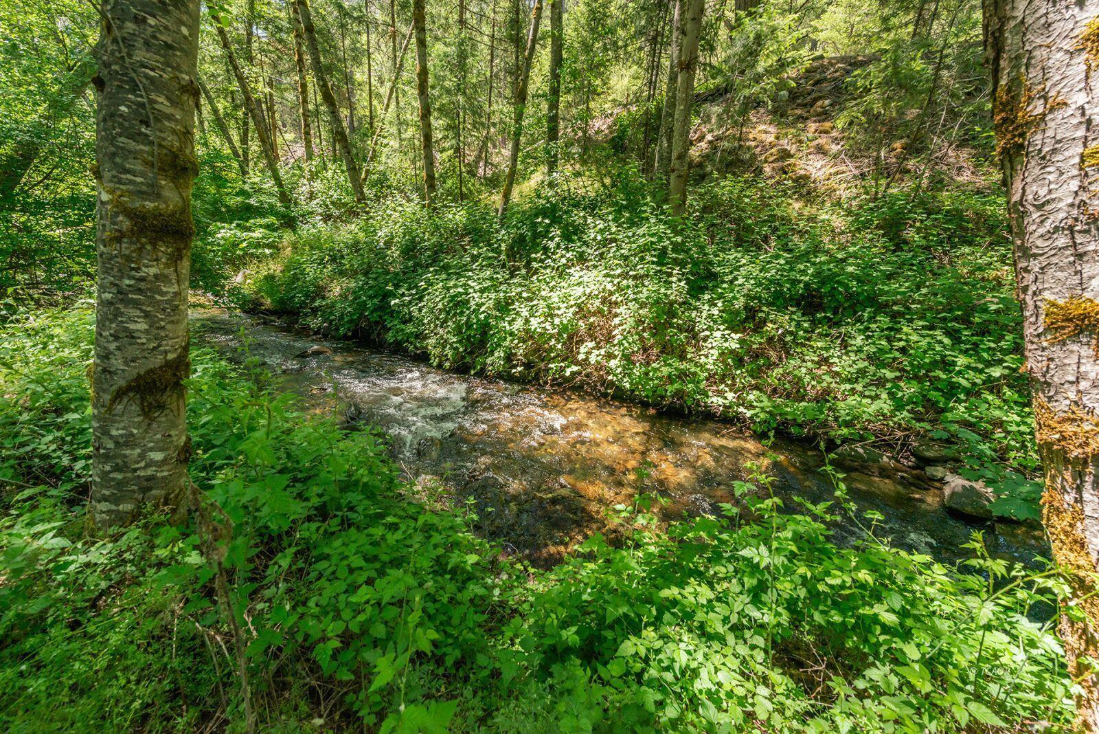 31 Rocky Road Weaverville, CA 96093 - Photo 11 of 49 11_2084793_lg