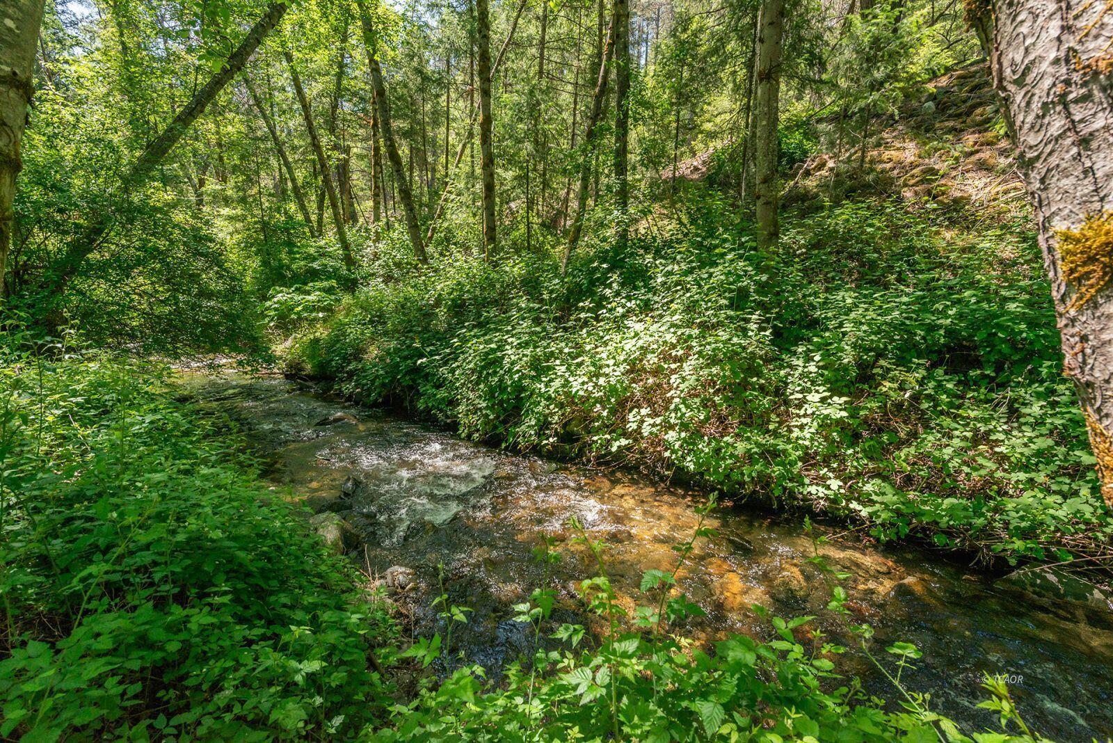 31 Rocky Road Weaverville, CA 96093 - Photo 12 of 49 12_2084794_lg
