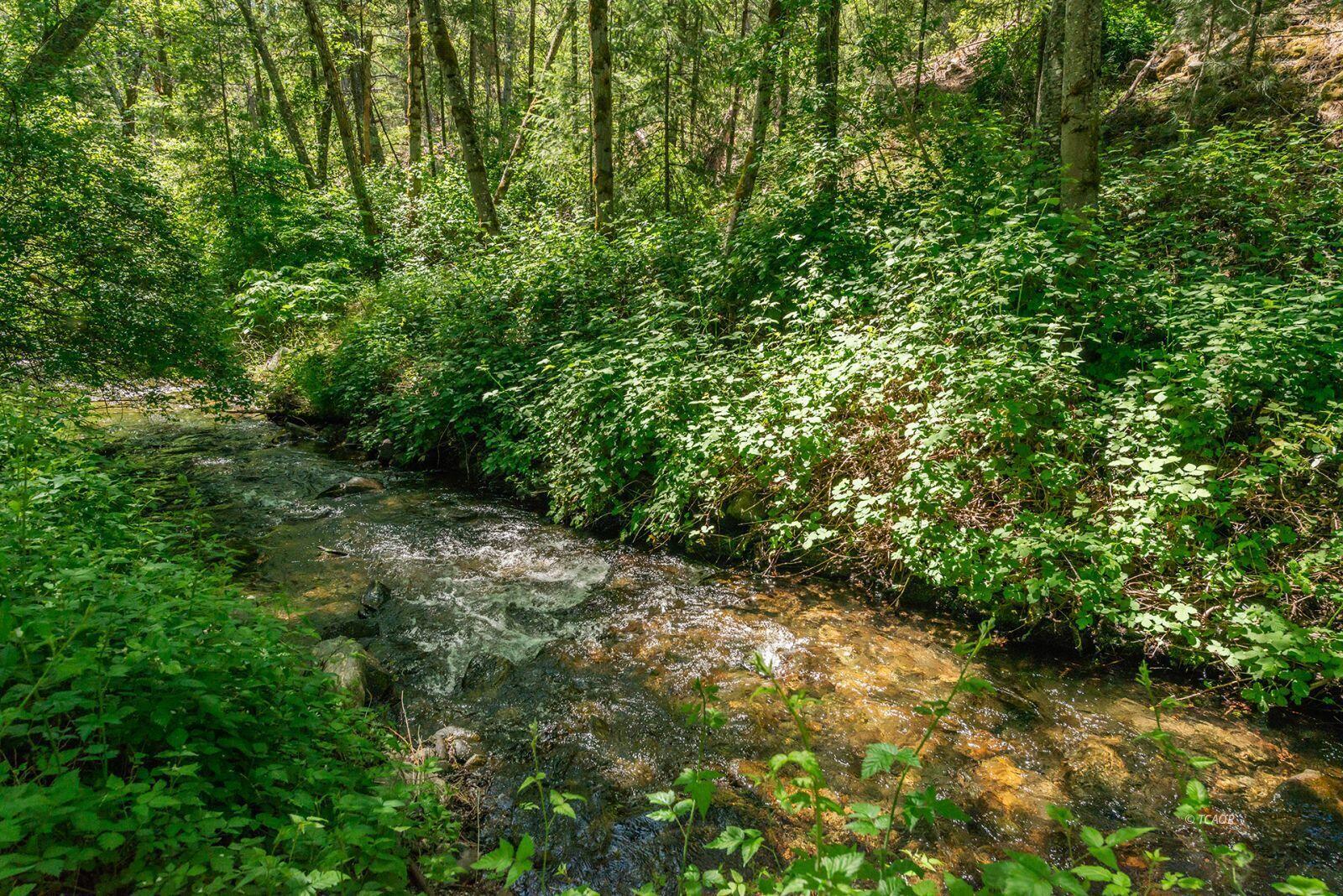31 Rocky Road Weaverville, CA 96093 - Photo 15 of 49 15_2084795_lg