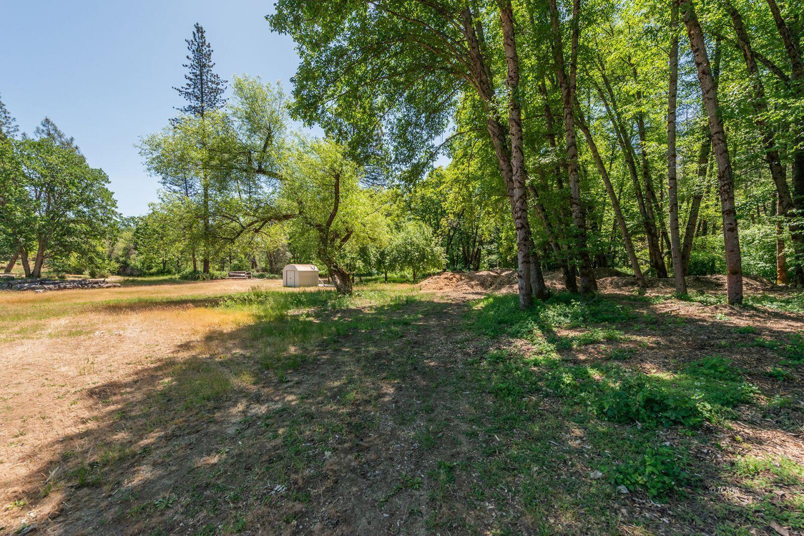 31 Rocky Road Weaverville, CA 96093 - Photo 10 of 49 10_2084792_lg