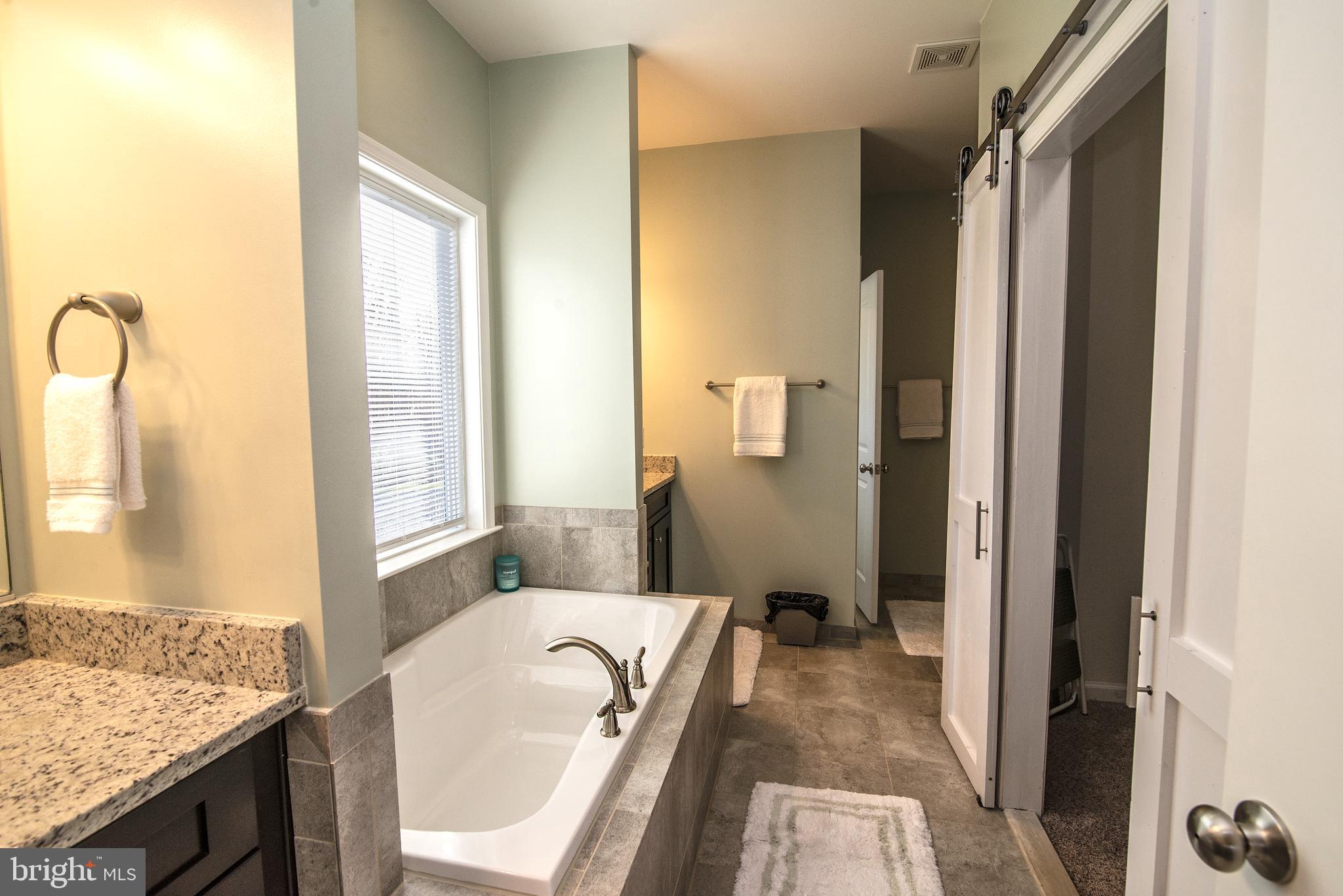 8483 Swan Woods Road Rhoadesville, VA 22542 - Photo 20 of 51 Large Primary Bath