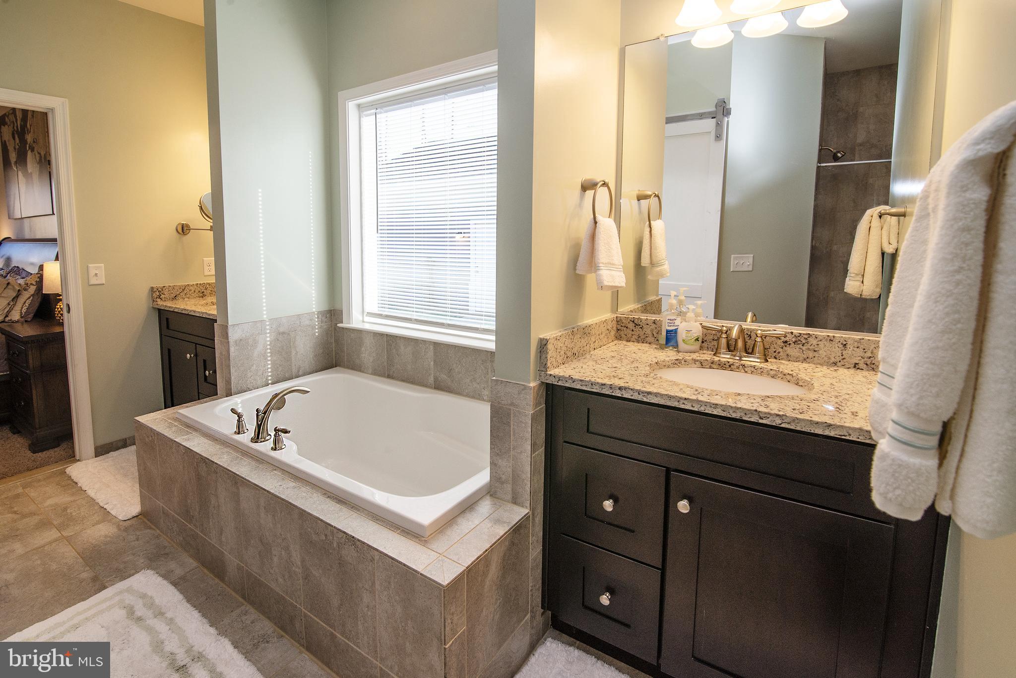 8483 Swan Woods Road Rhoadesville, VA 22542 - Photo 23 of 51 Double Vanity