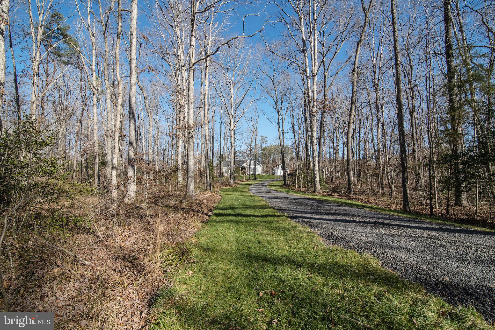 8483 Swan Woods Road Rhoadesville, VA 22542 - Photo 50 of 51 View From Road