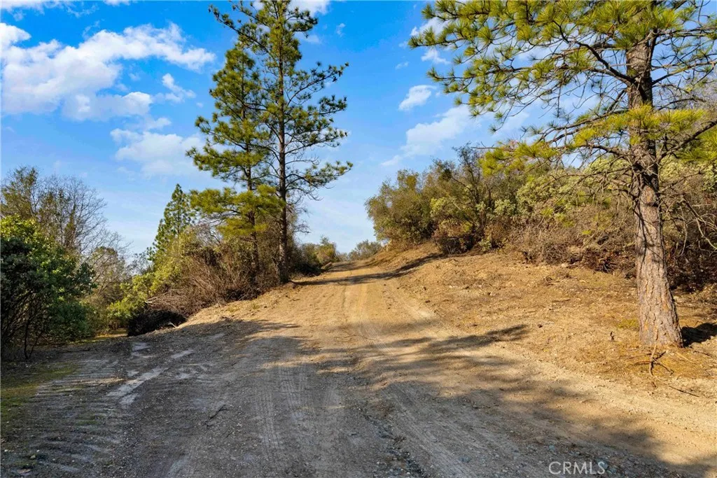 1 Ridge View Drive Sutter Creek, CA 95685 - Photo 4 of 25