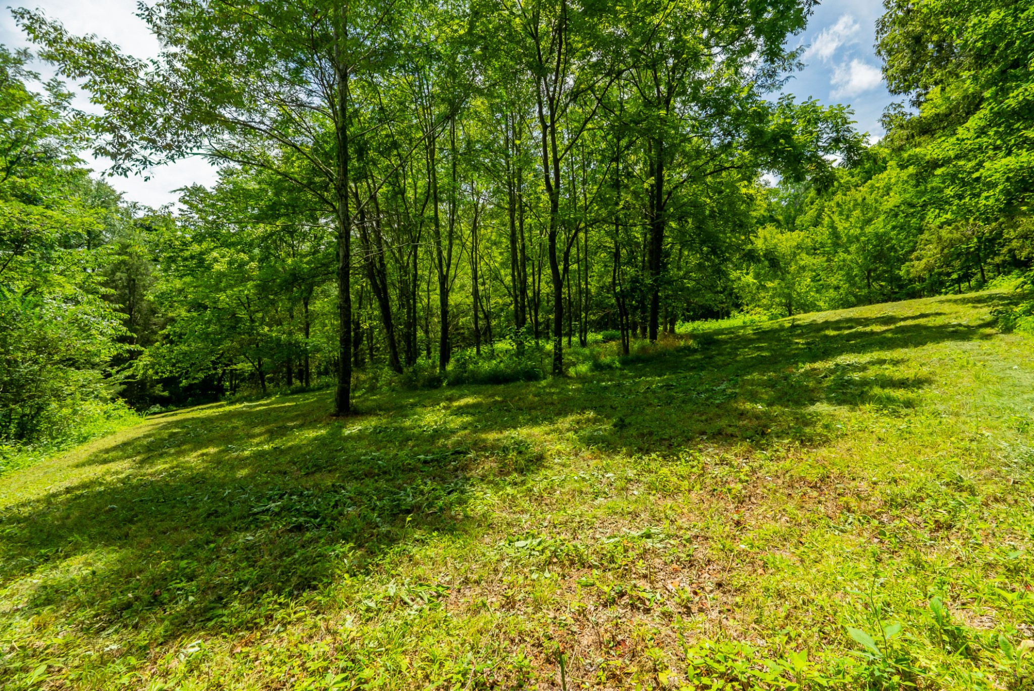 0 Bethlehem Road Springfield, TN 37172 - Photo 25 of 41 Gallery Image 25
