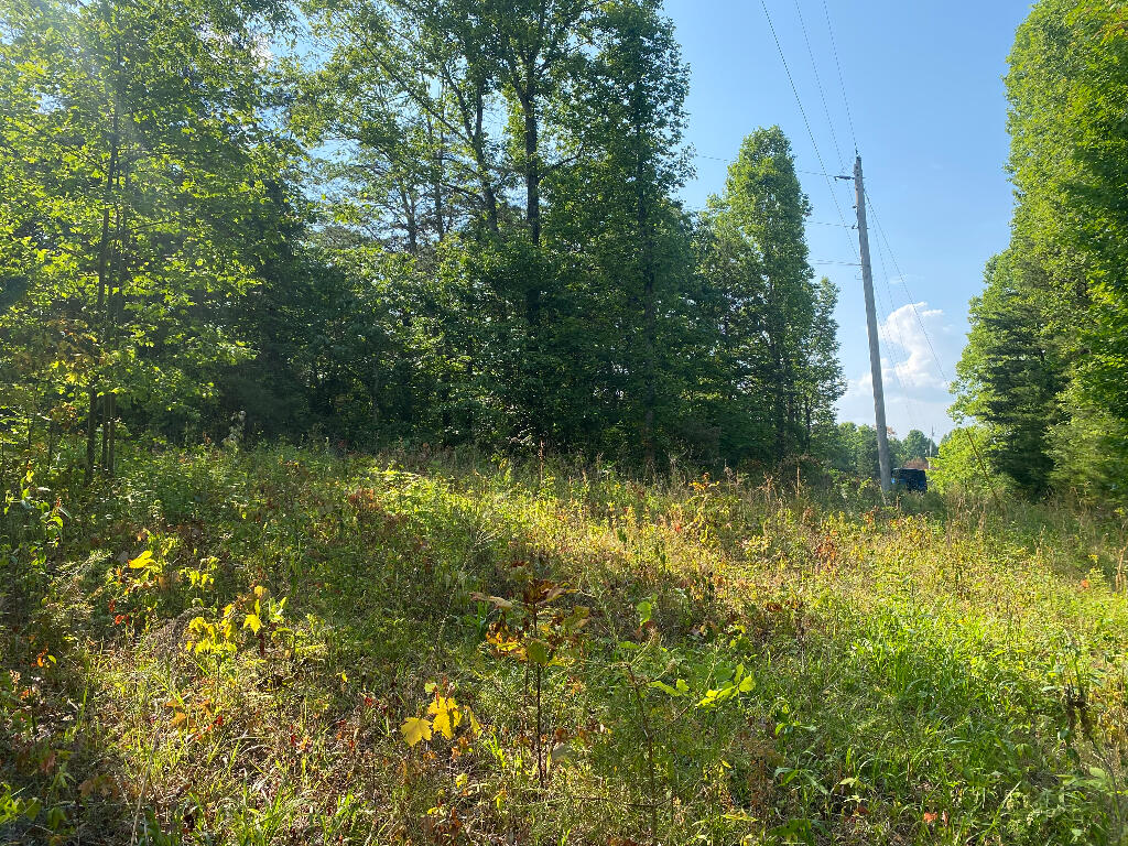 Tbd Goddard Road Wallingford, KY 41093 - Photo 3 of 24 02