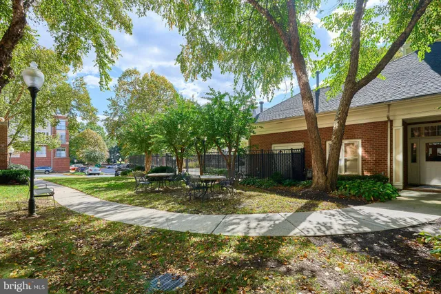 a view of a yard with plants and trees