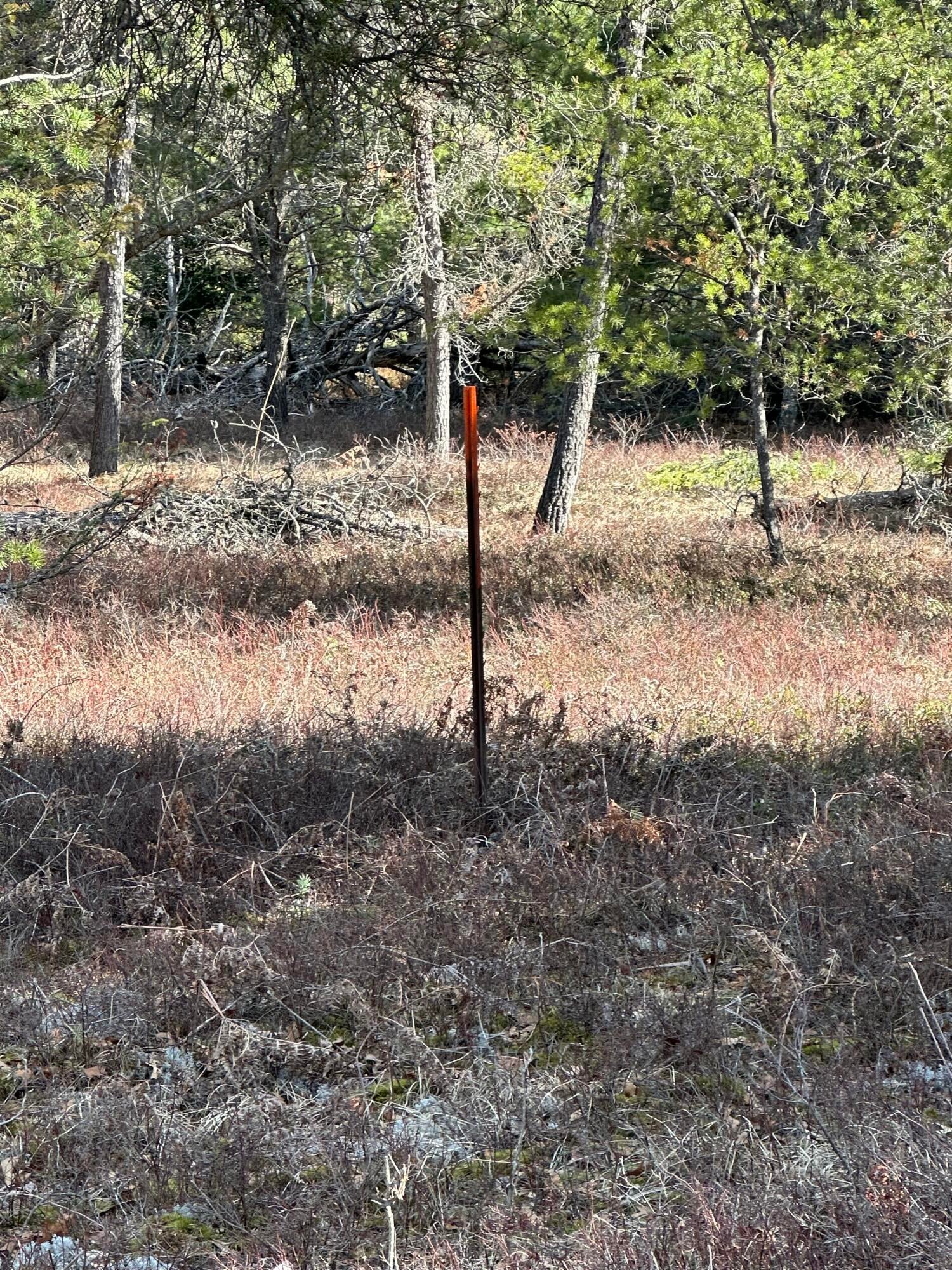 3653 Ontario Road Grayling, MI 49738 - Photo 19 of 46 Gallery Image 19