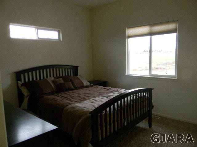 1712 North 3/10 Road Fruita, CO 81521 - Photo 19 of 34 a bed sitting in a bedroom next to a window