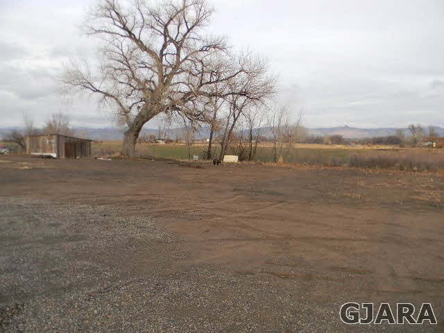 1712 North 3/10 Road Fruita, CO 81521 - Photo 34 of 34 a backyard of a house with lots of green space