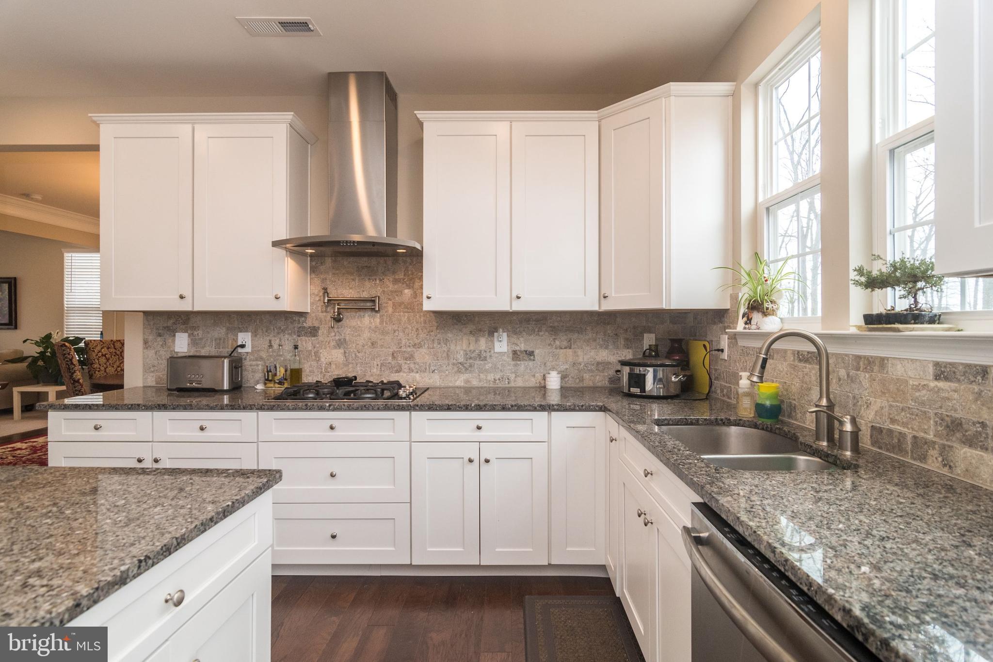 49 Metka Road Royersford, PA 19468 - Photo 16 of 42 Kitchen's Gas Range and Stainless Hood.