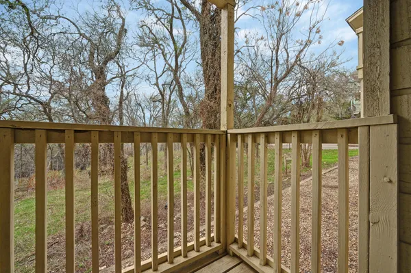 a view of a trees in a yard