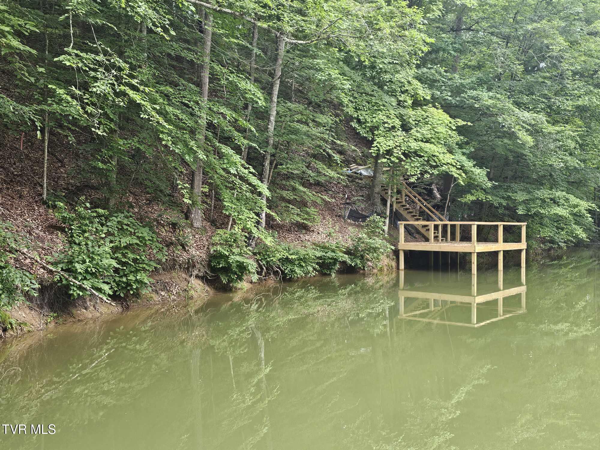 2264 Devault Bridge Road Piney Flats, TN 37686 - Photo 10 of 29 5ad713cd-940c-4d4e-a481-7bab42ea61ff