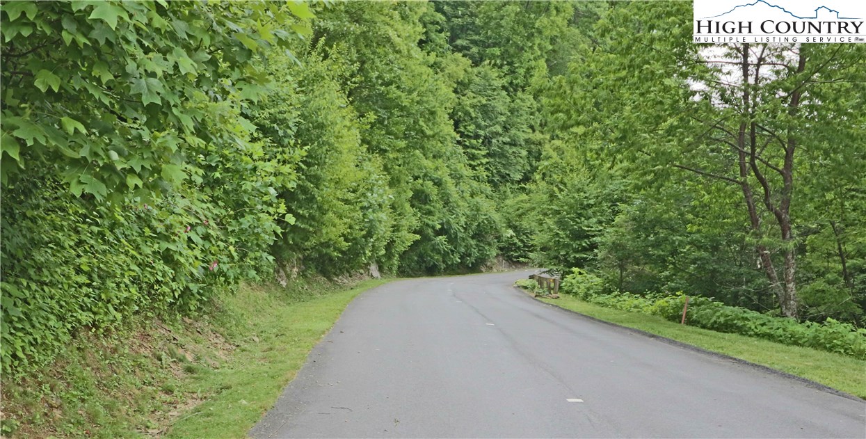 Nettles Ridge, Unit 46 Banner Elk, NC 28604 - Photo 11 of 12 a view of a garden with a plants
