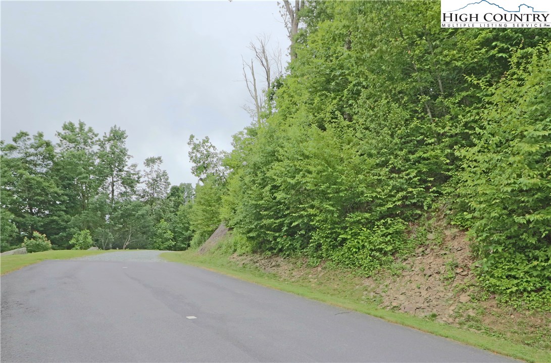 Nettles Ridge, Unit 46 Banner Elk, NC 28604 - Photo 12 of 12 a view of a garden with plants