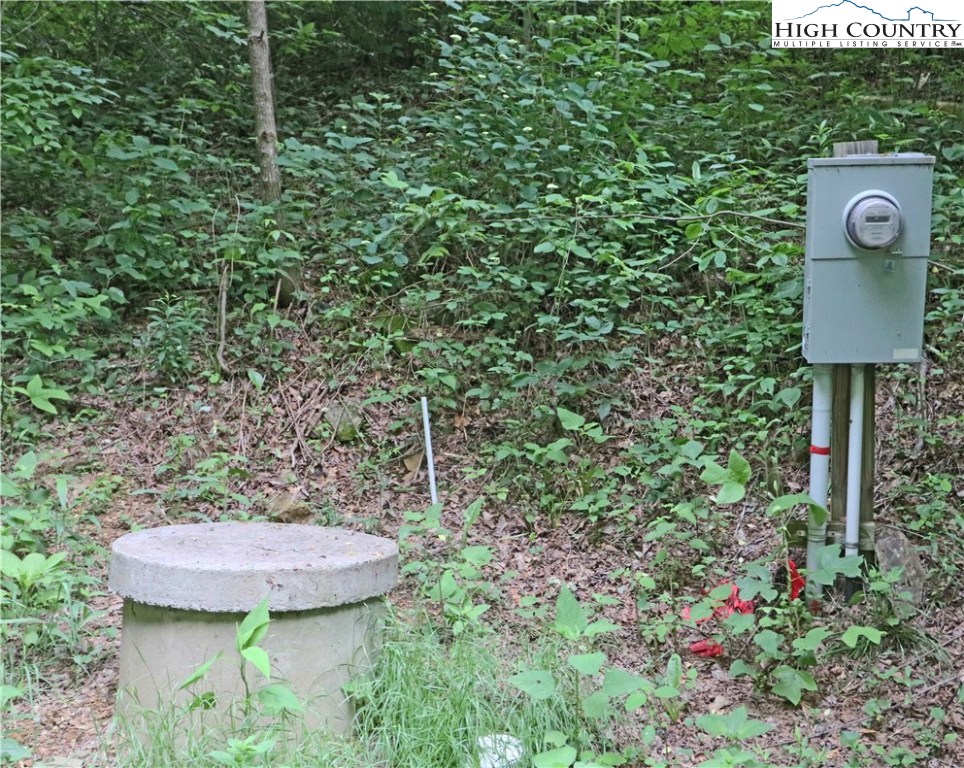 Nettles Ridge, Unit 46 Banner Elk, NC 28604 - Photo 4 of 12 a view of a backyard with plants