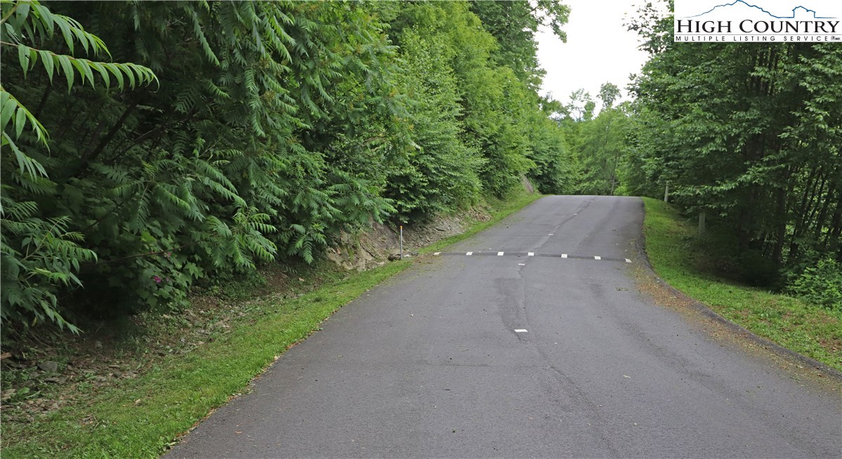 Nettles Ridge, Unit 46 Banner Elk, NC 28604 - Photo 9 of 12 a view of a street with a plants and trees beside of it