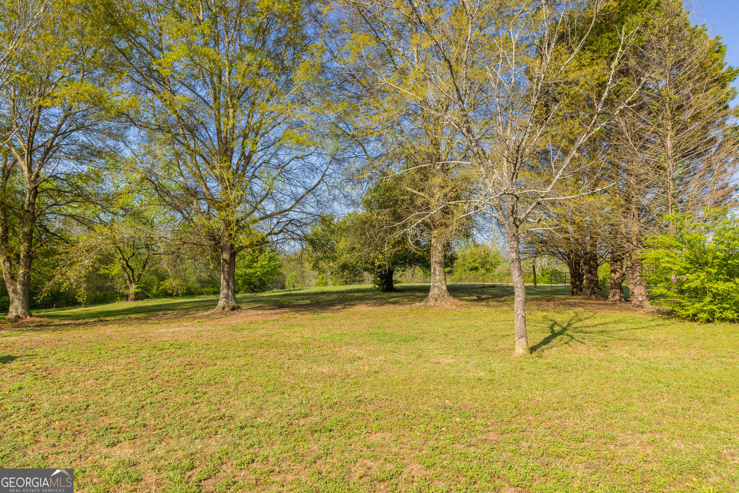 383 Ellerbeetown Road Thomaston, GA 30286 - Photo 50 of 97