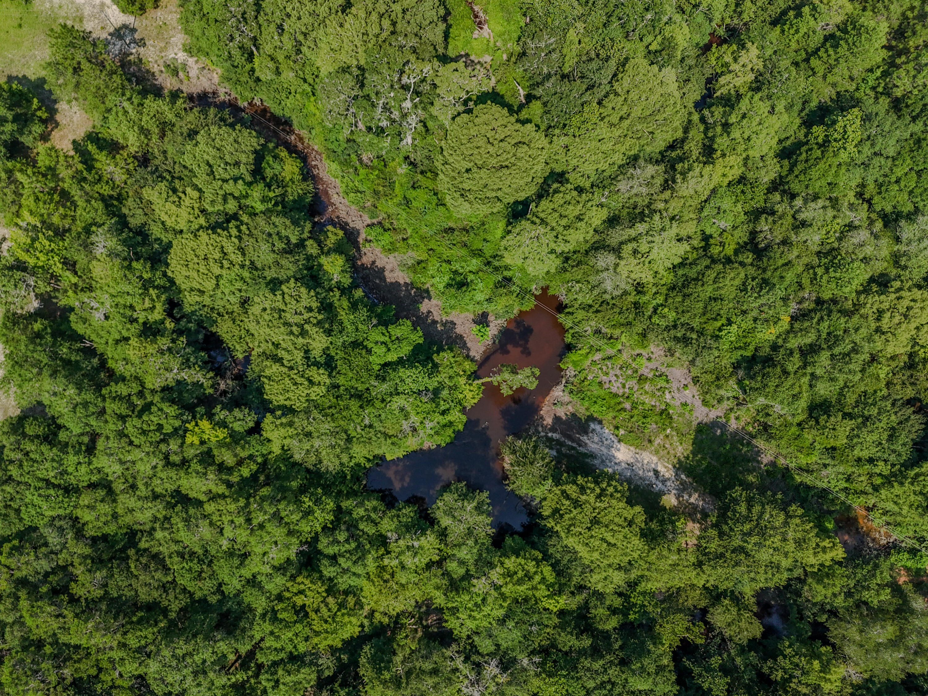 3128 County Road 10 Samson, AL 36477 - Photo 51 of 67 DJI_20260630231847_0045_D