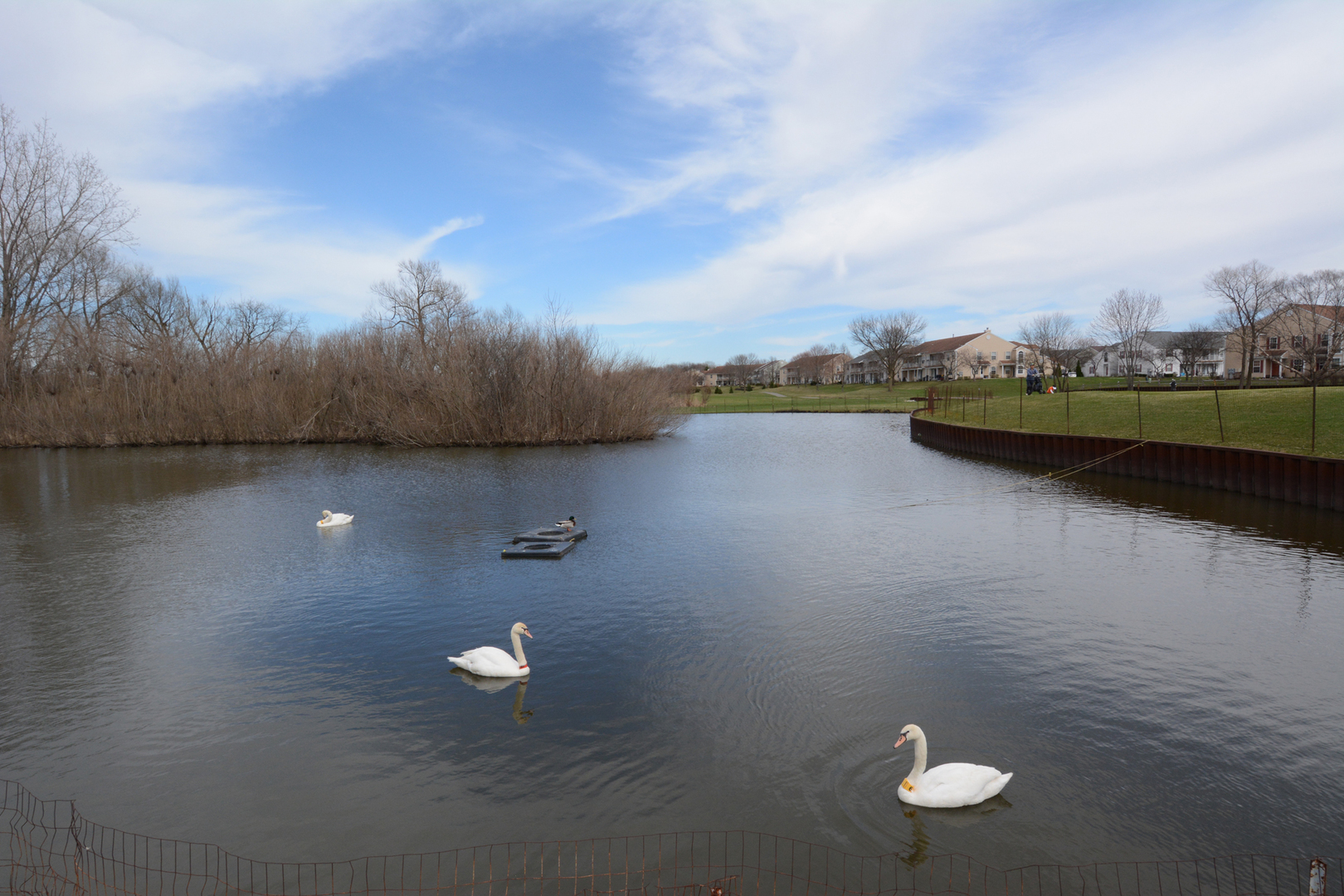 22 Tyler Court, Unit A Streamwood, IL 60107 - Photo 26 of 27 a view of a lake