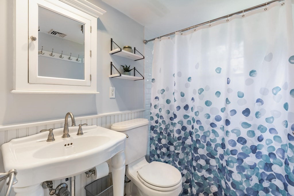 51 Ridge Street Arlington, MA 02474 - Photo 14 of 28 a bathroom with a sink a toilet and a mirror