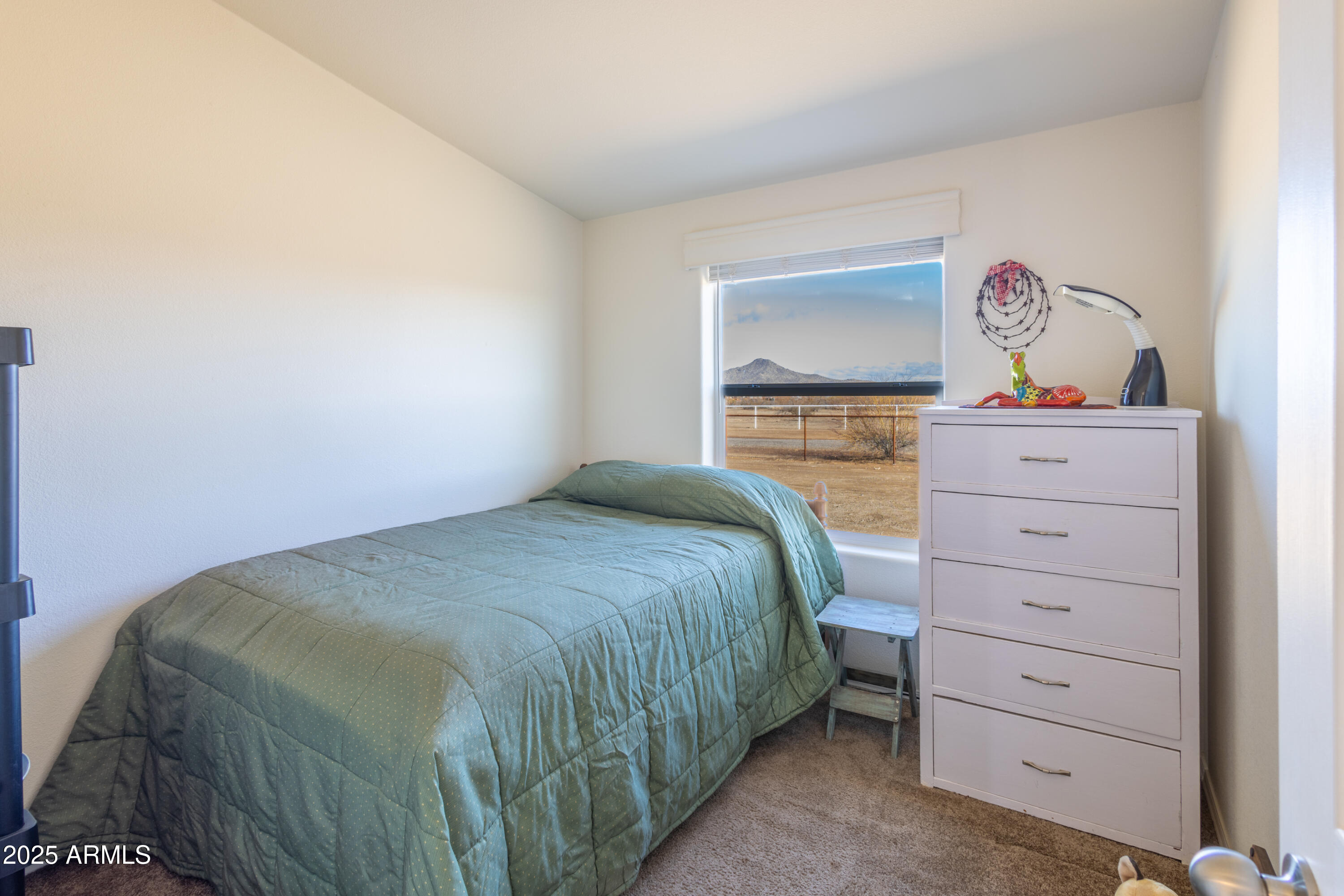 45409 West Luray Road Wickenburg, AZ 85390 - Photo 10 of 26 a bedroom with a bed and closet