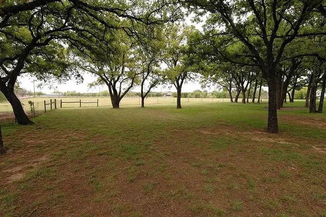 a view of a field with large trees