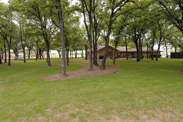 a view of a park with tree s