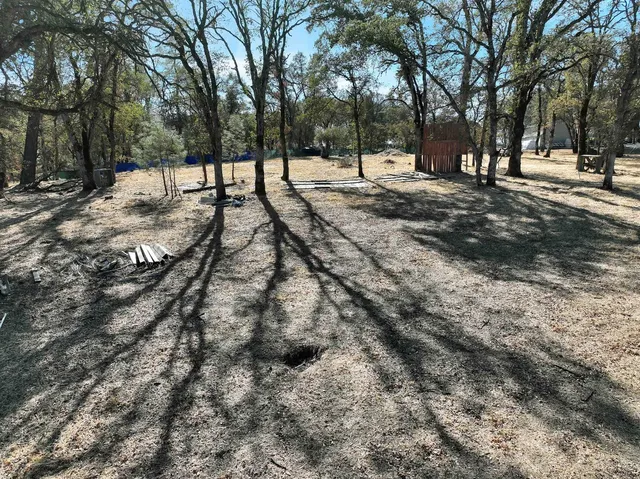 a view of a yard with a tree